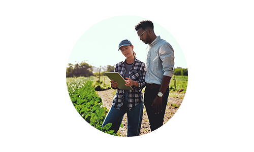 Man and woman in agricultural field discussing crops