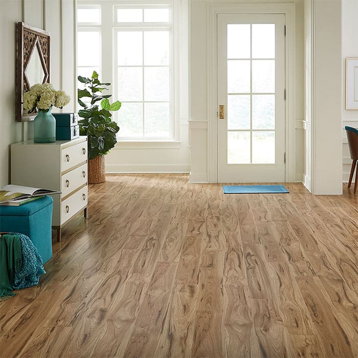 Front entryway of bright home, showcasing wood-grain laminate flooring.