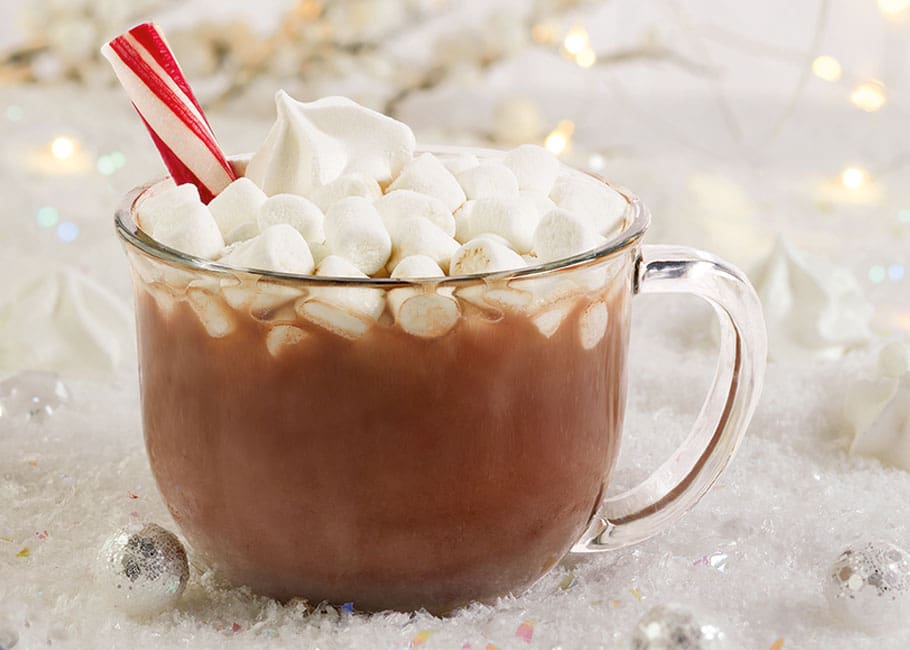cup of hot chocolate with marshmellow and candy cane