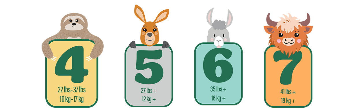 Four icons of sizes showing: Size 4: 22 lbs - 37 lbs, 10 kg - 17 kg. Size 5: 27 lbs_, 12 kg+. Size 6: 35 lbs+, 16 kg+. Size 7: 41 lbs+, 19 kg+.