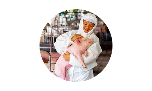 Woman in protective white suit cradling a pink piglet and smiling