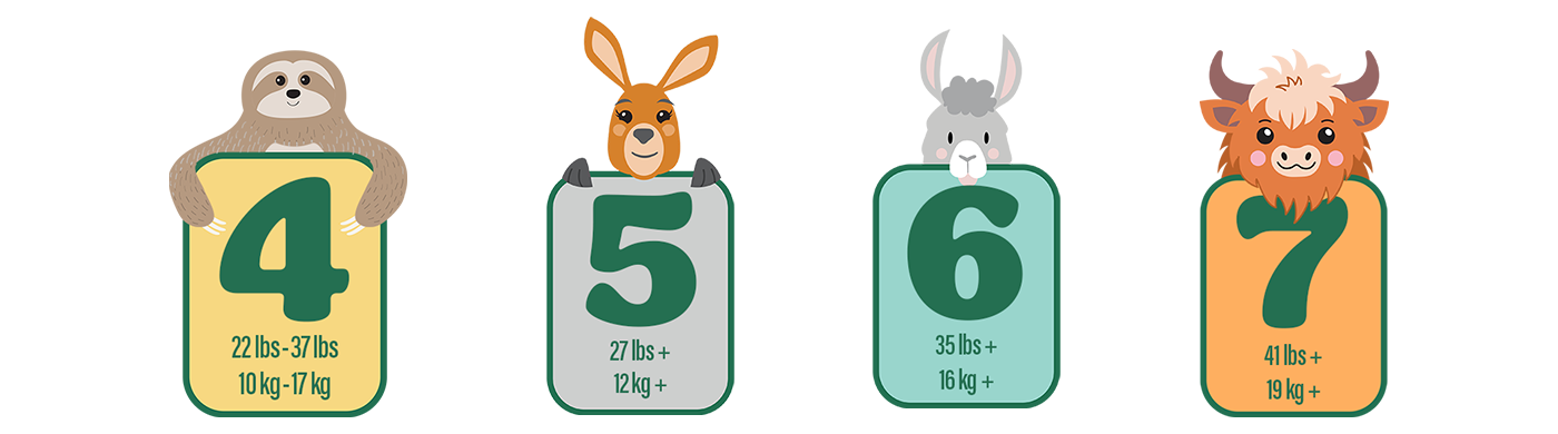 Four icons of sizes showing: Size 4: 22 lbs - 37 lbs, 10 kg - 17 kg. Size 5: 27 lbs_, 12 kg+. Size 6: 35 lbs+, 16 kg+. Size 7: 41 lbs+, 19 kg+.