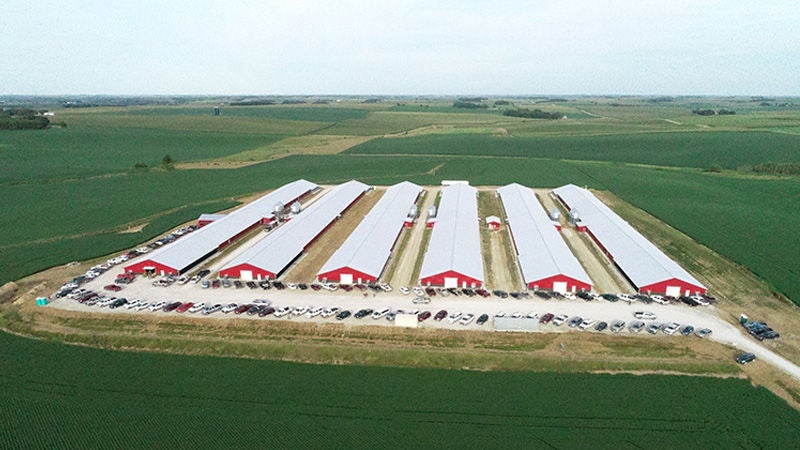 Costco - Lincoln Poultry Plant (LPP) row of 6 grower barns poultry facility