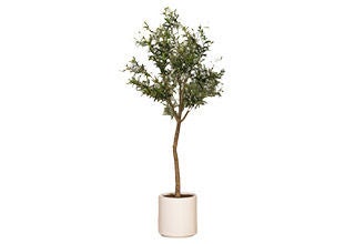 Plantes et arbres artificiels