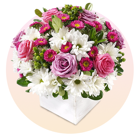 Shop Flowers
