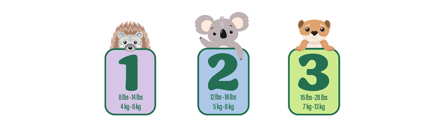Three icons of sizes showing: Size 1: 8 lbs - 14 lbs, 4 kg - 6 kg. Size 2: 12 lbs - 18 lbs, 5 kg - 8 kg. Size 3: 16 lbs - 28 lbs, 7 kg - 13 kg.