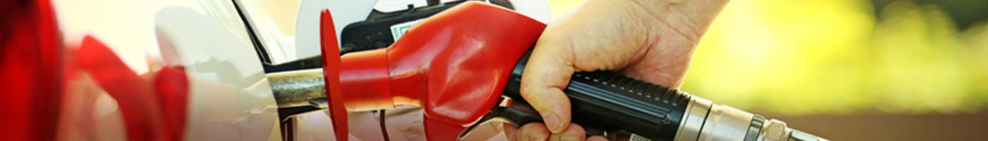 Kirkland Signature Gasoline