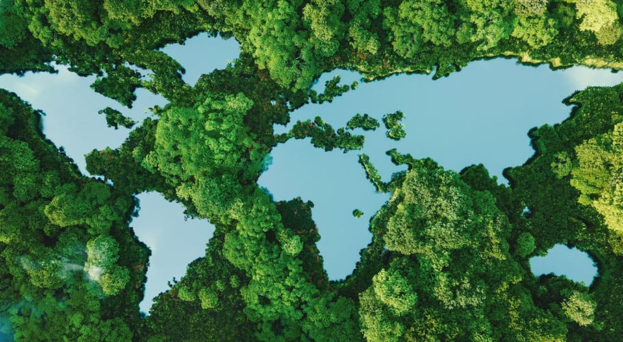 Image of mercader map made out of water and trees