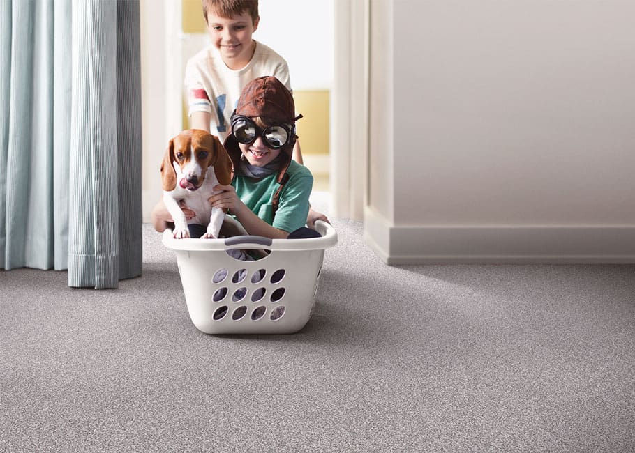 carpet