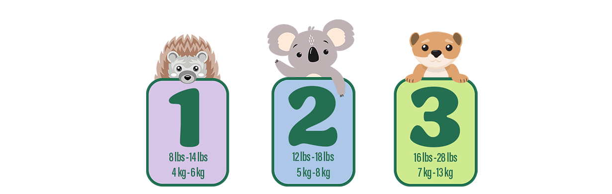 Three icons of sizes showing: Size 1: 8 lbs - 14 lbs, 4 kg - 6 kg. Size 2: 12 lbs - 18 lbs, 5 kg - 8 kg. Size 3: 16 lbs - 28 lbs, 7 kg - 13 kg.