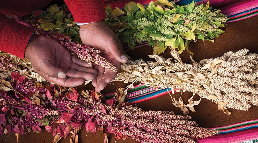 Kirkland Signature Organic Quinoa