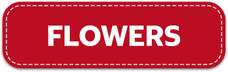 Shop Flowers