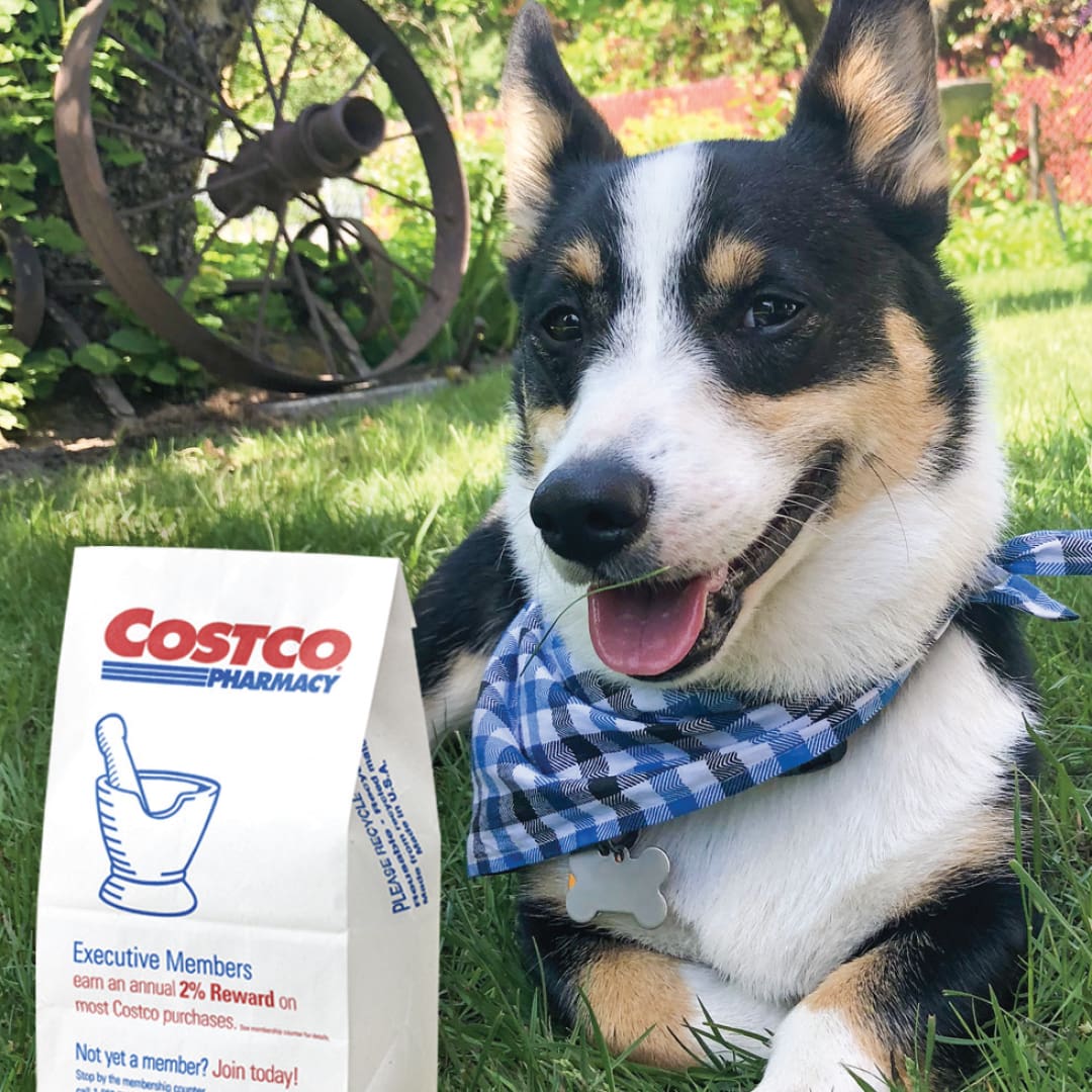Pet medications