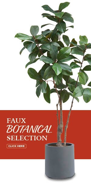 Faux botanical selection. Click here