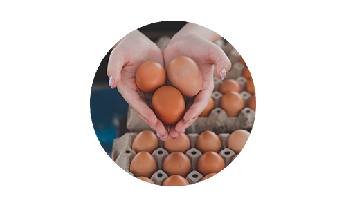 Hands forming a heart shape and cupping three brown chicken eggs
