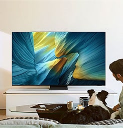 Samsung S95C OLED TV with a blue/yellow graphic. A person and dog watch from a couch.