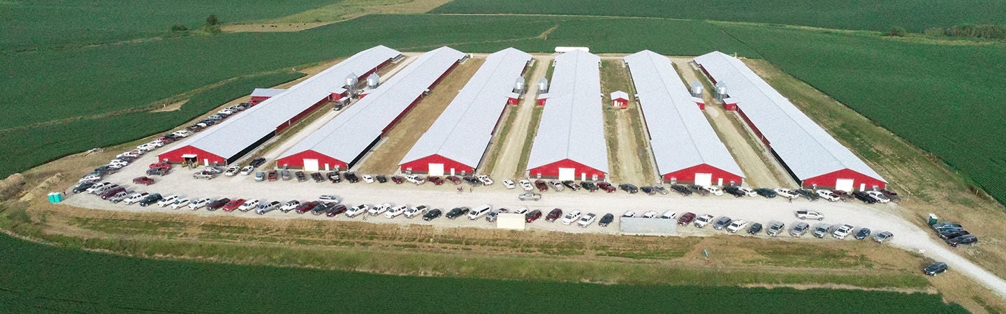 Costco - Lincoln Poultry Plant (LPP) row of 6 grower barns poultry facility