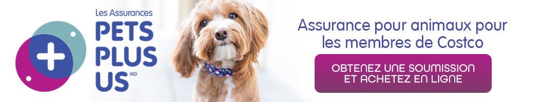 Pets plus us. Une assurance pour animaux pour les membres de Costco. Obtenez une soumission et achetez en ligne