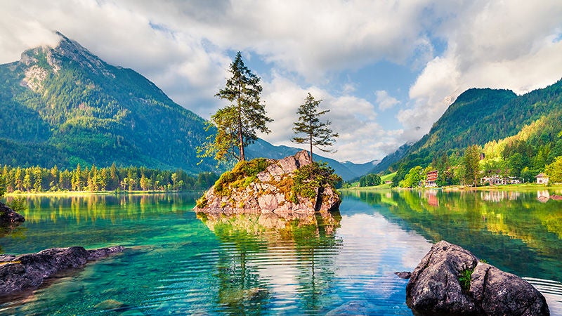 Tree in middle of lake on rocky island in beautiful natural environment