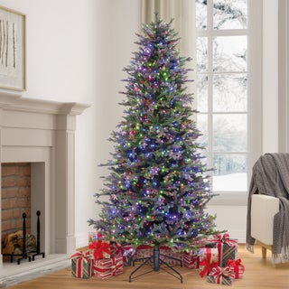Holiday & Seasonal