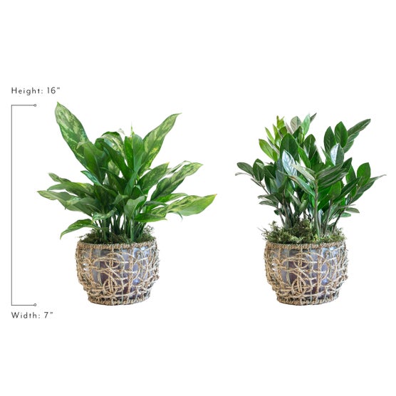 Enlarge Product Preview 2