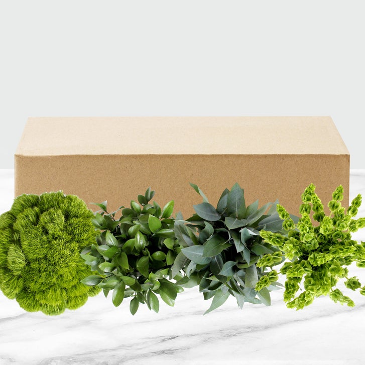 Enlarge Product Preview 7
