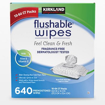 Kirkland Signature Premoistened Flushable Wipes, Fragrance Free, 640-Count