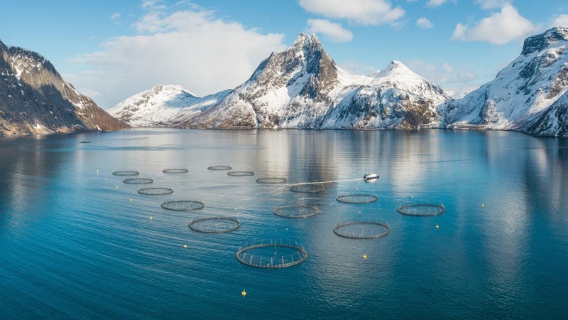 A water farming site in blue water surrounded by snowy peaks