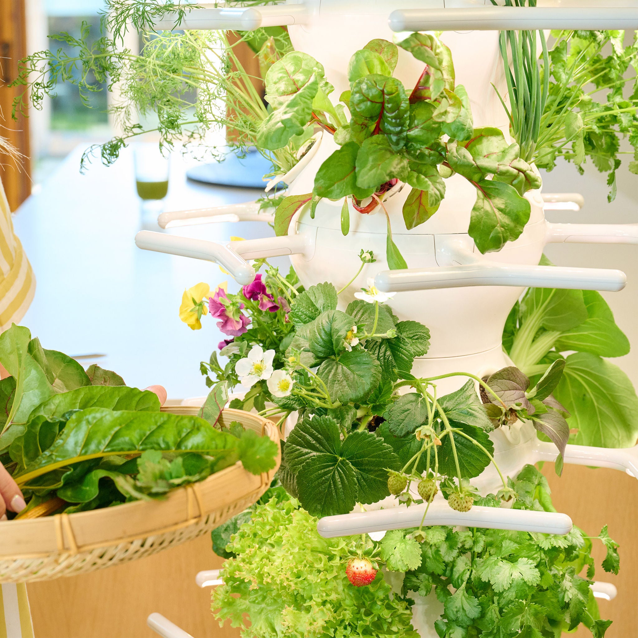 Lettuce Grow Farmstand Nook | Costco