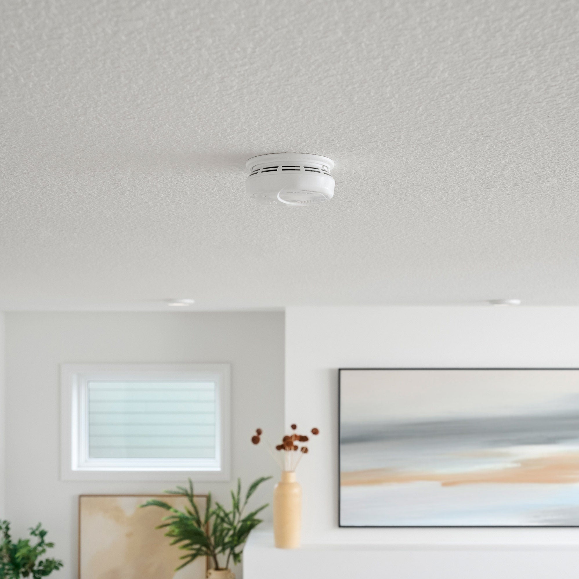 First Alert Z-Wave Battery Smoke and CO Alarm Works with Ring, 2