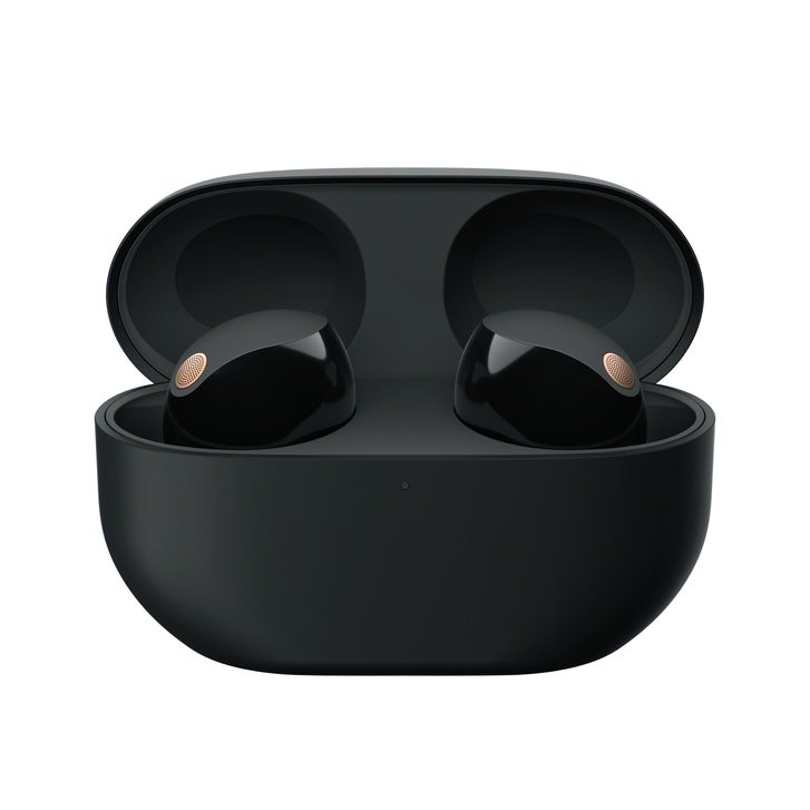 Sony WF-1000XM5 Wireless Noise Cancelling Earbuds | Costco