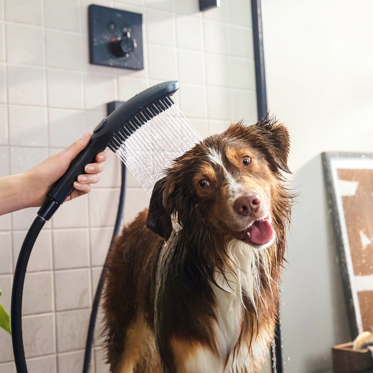 新品未開封　hansgrohe dogshower 犬用シャワーヘッド Hansgrohe Dog Showerhead | Costco