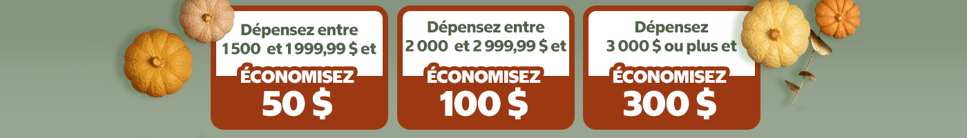 Dépensez entre 1,500 $ et économisez 50 $. Dépensez entre 2,000 $ et économisez 100 $. Dépensez entre 3,000 $ et économisez 300 $.