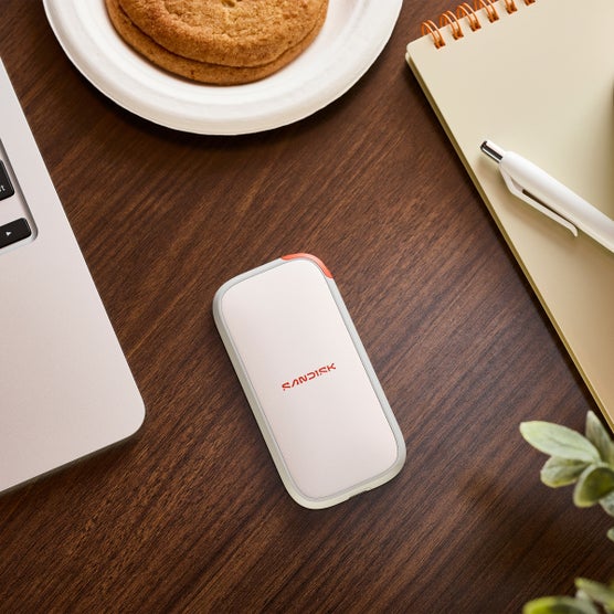 SanDisk Extreme Go Portable SSD, 2TB | Costco