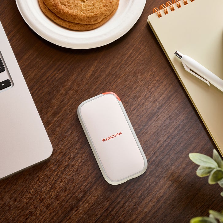 SanDisk Extreme Go Portable SSD, 2TB | Costco