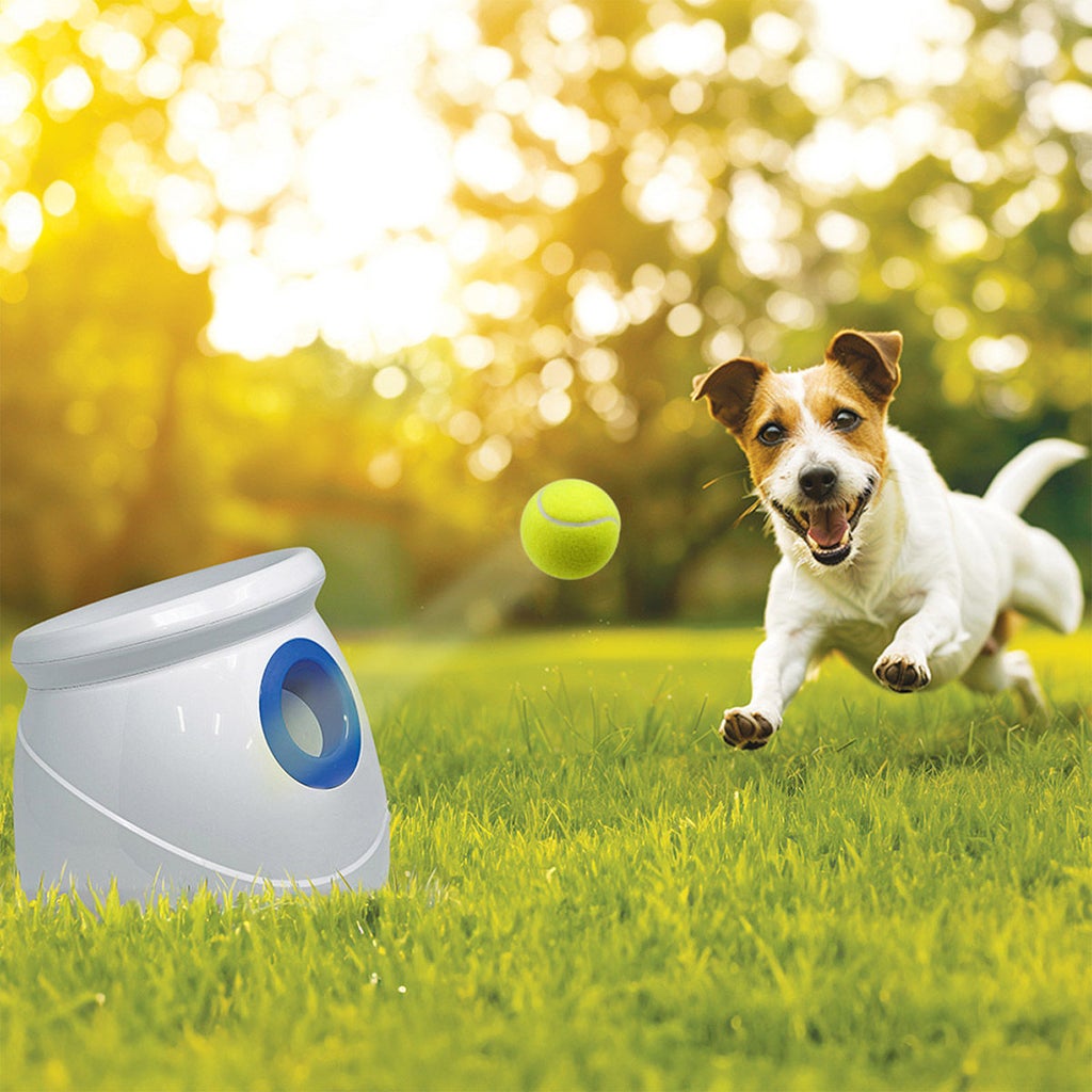 Spunky Pup Automatic Tennis Ball Launcher | Costco