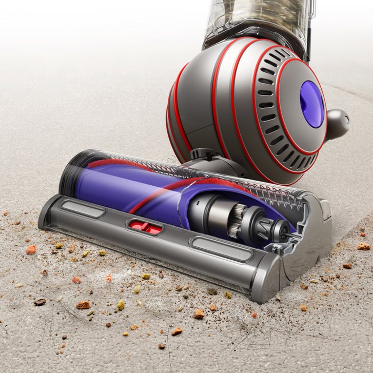 Dyson Ball Animal 3+ Upright Vacuum | Costco