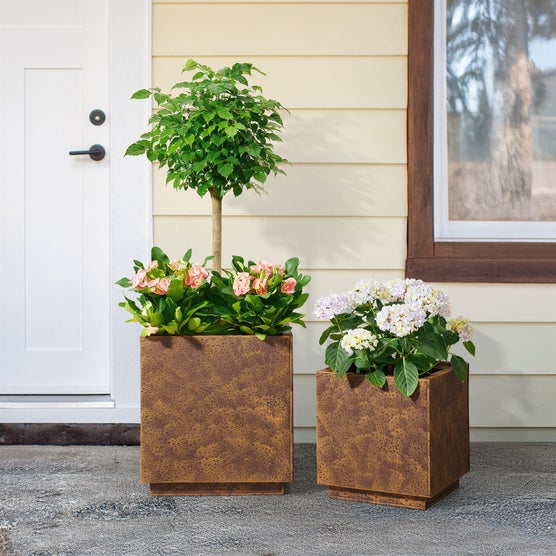 Enlarge Product Preview 2
