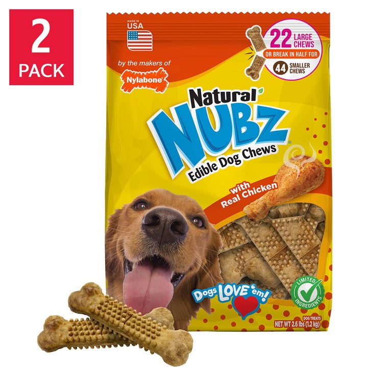 What Nylabone Is and Why Dog Owners Buy It