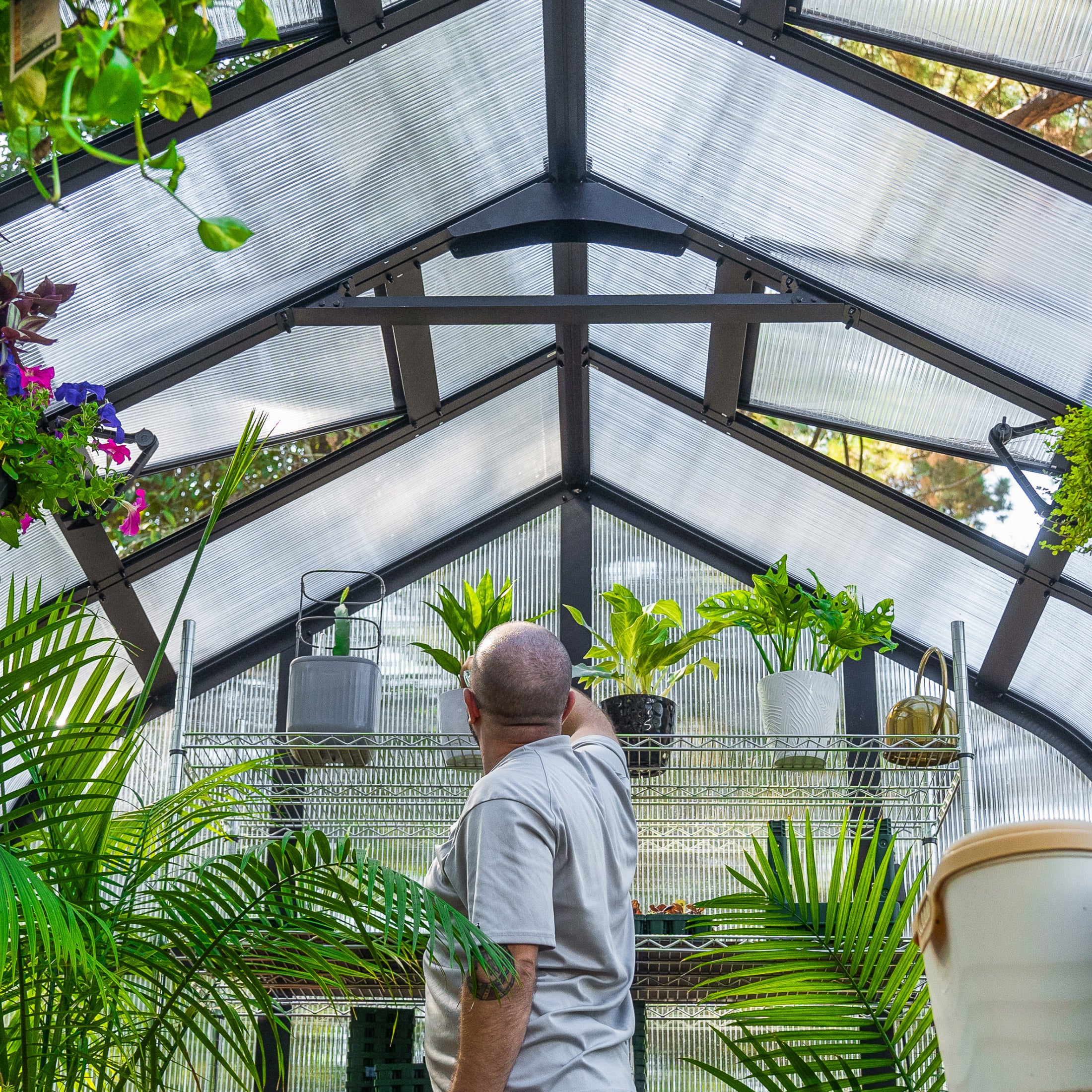 Vego Garden Pacific Greenhouse with Auto Vents and Folding Shelf