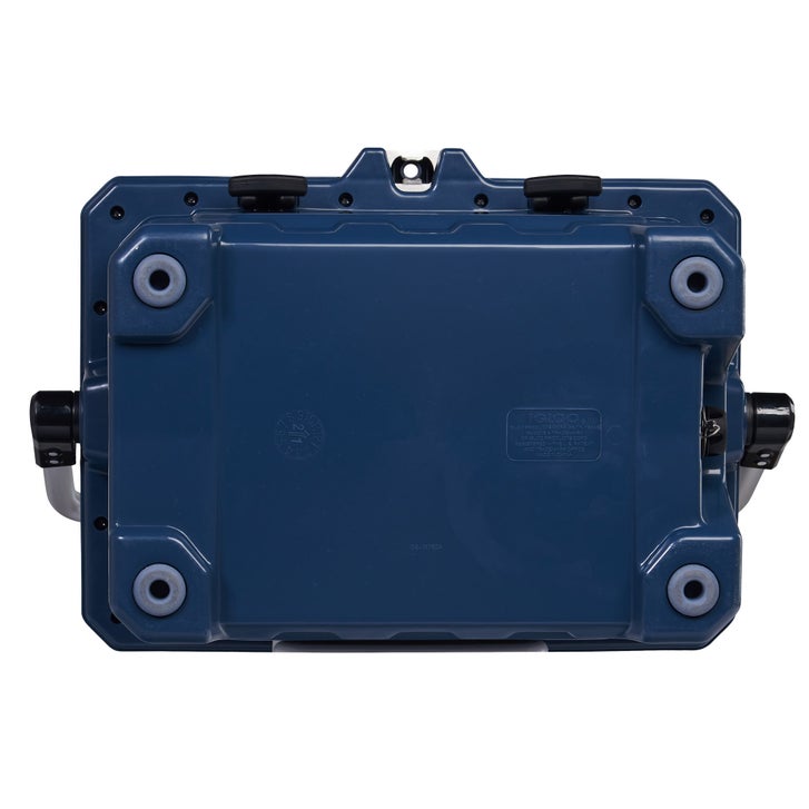 【りんご】ILLIGO(イリゴ)ネイビーM Igloo IMX 24-quart Cooler | Costco