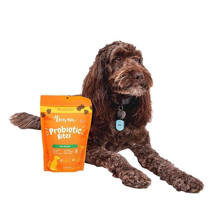 Zesty Paws Probiotic Bites for Dogs, Pumpkin, 170-count | Costco