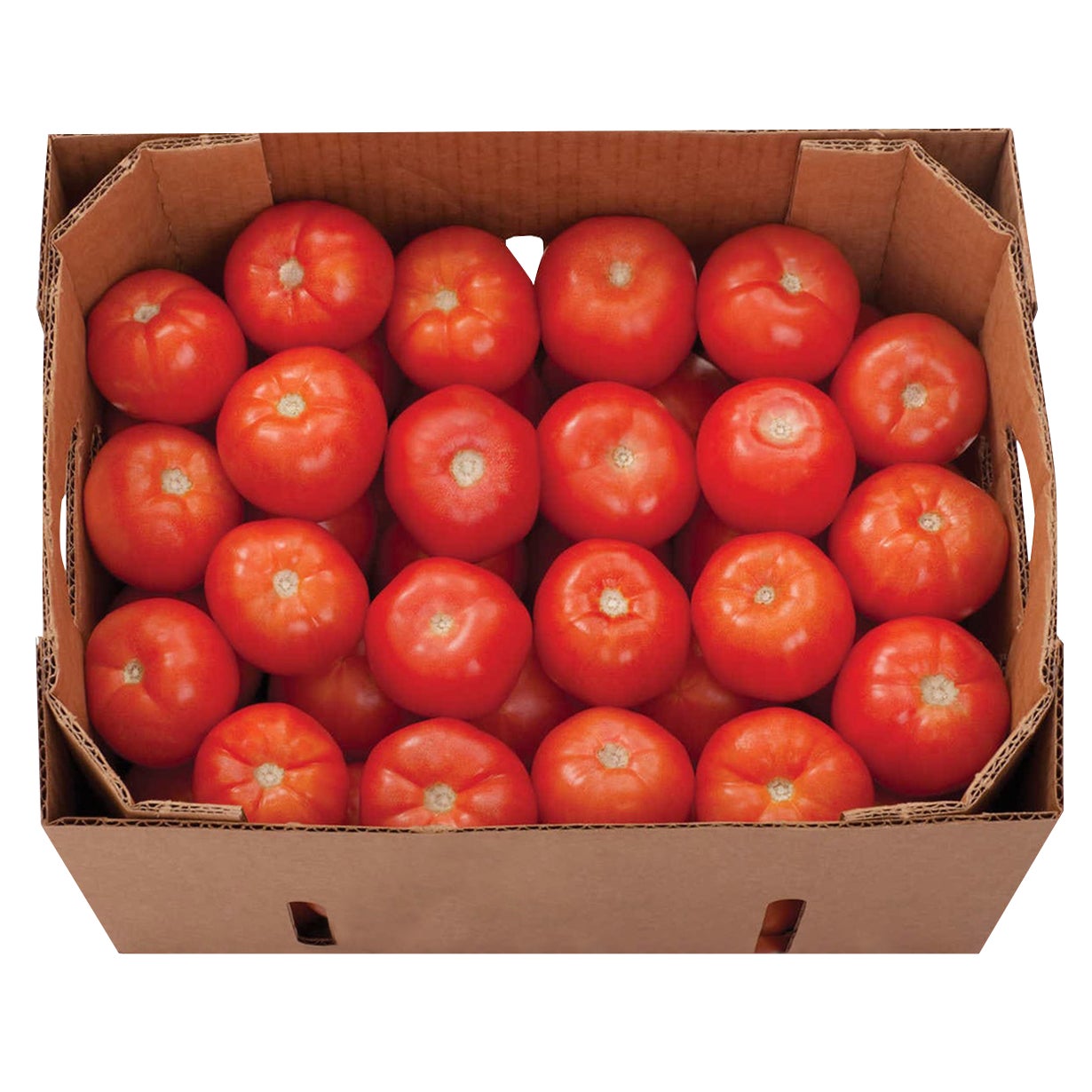 Tomatoes Loose Fill Large, 25 lbs
