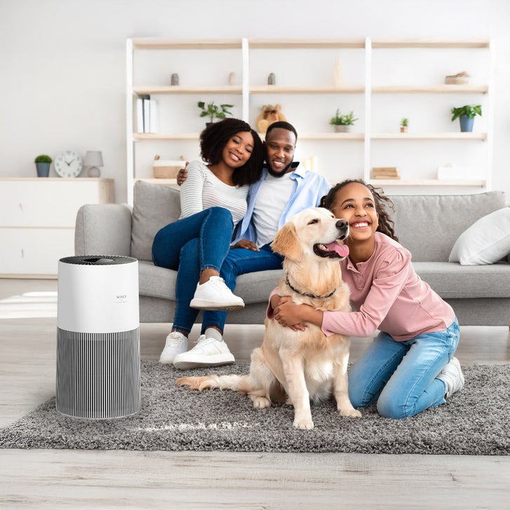 Enlarge Product Preview 12