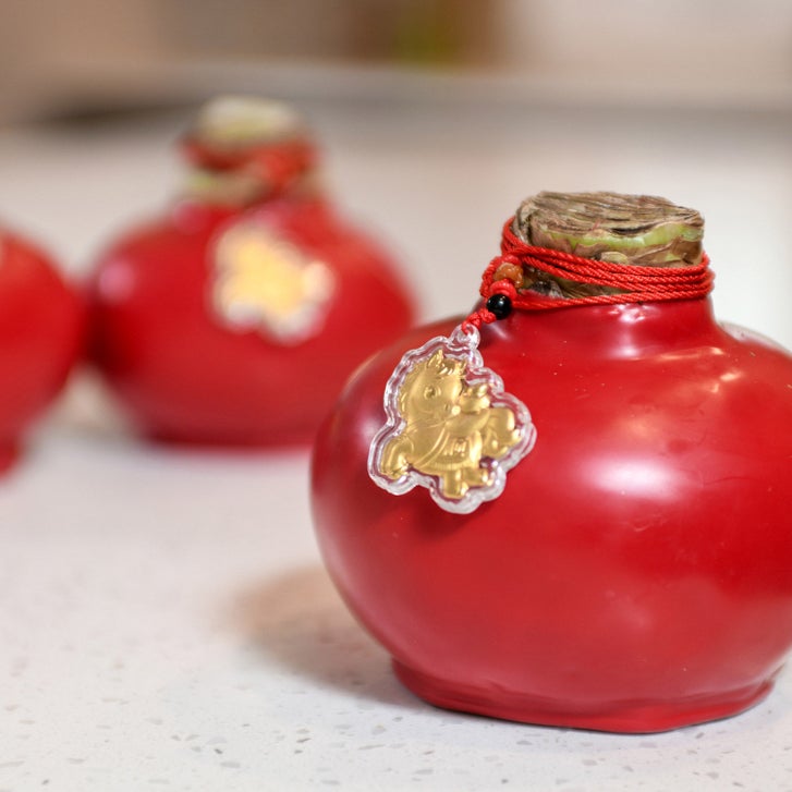 Bloomaker Chinese New Year Waxed Amaryllis Trio, No Water Needed