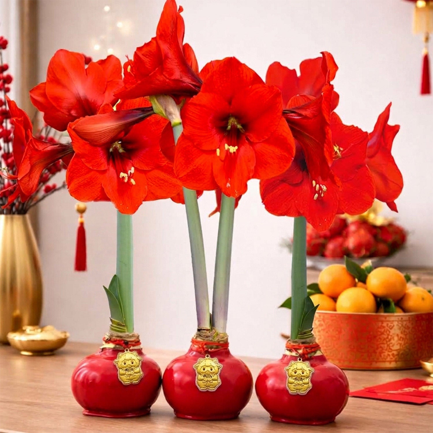 【Lily様】専用・赤360g×2袋≪フォロー＆リピート割特価≫ Bloomaker Chinese New Year Waxed Amaryllis Trio, No Water Needed