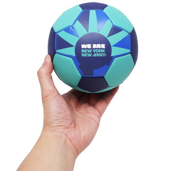 FIFA World Cup 16-piece Host City Mini Ball Set | Costco