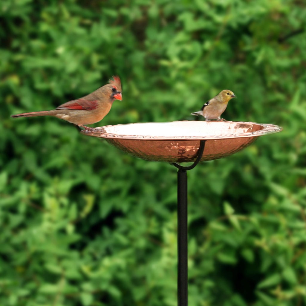 Enlarge Product Preview 1