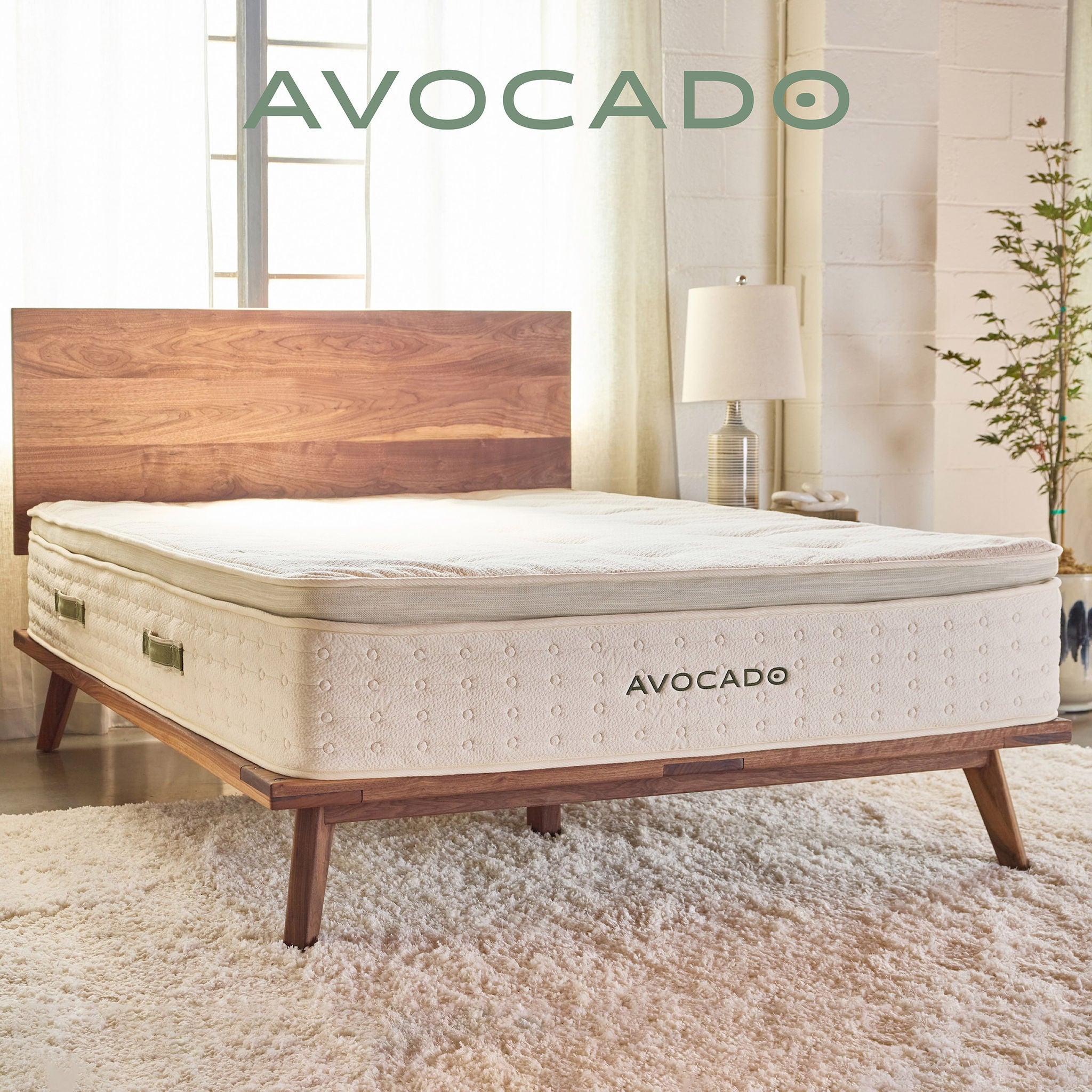 Avocado Organic 13
