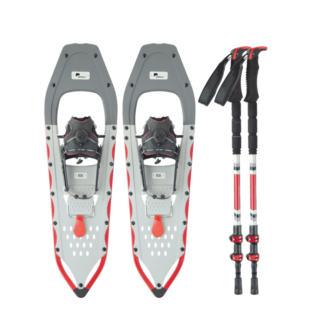 Snowshoes
